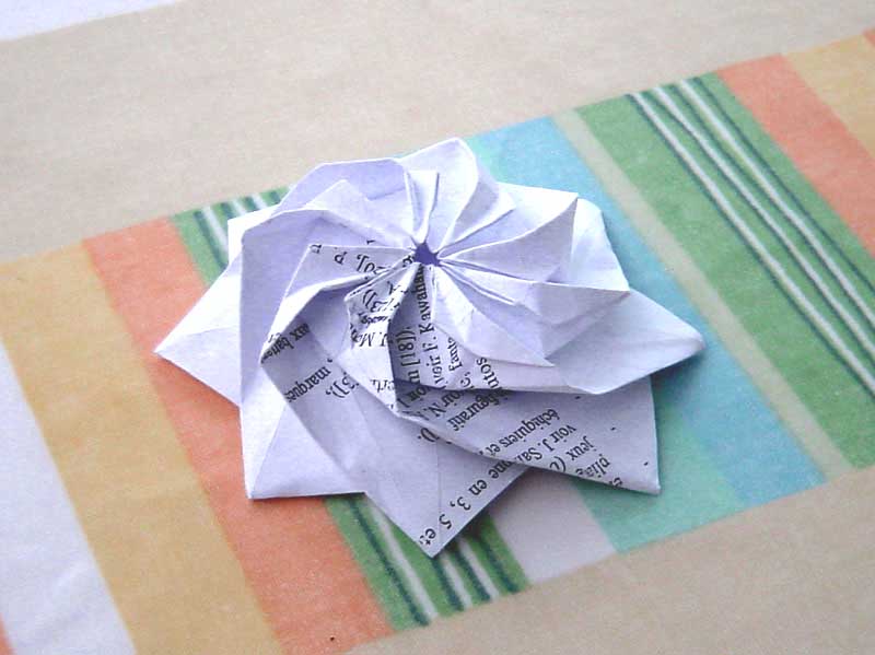 rosette1
