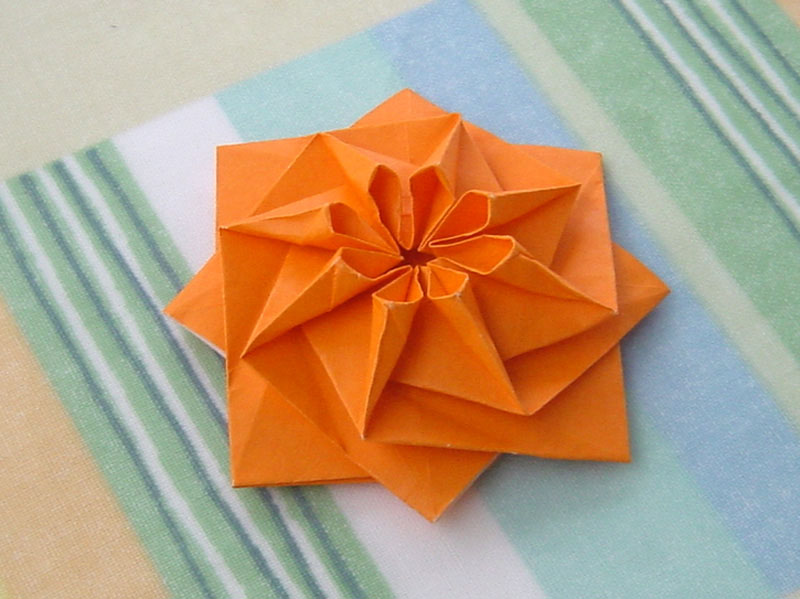 rosette2