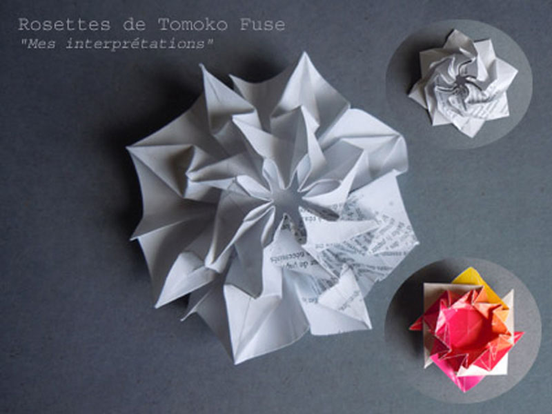 rosettes01slp