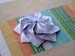 rosette1