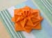 rosette2